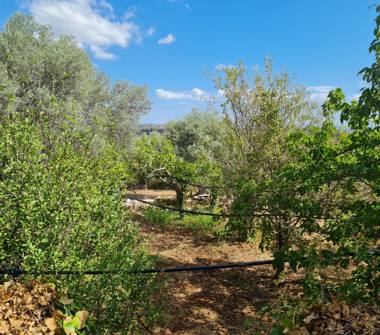 Terreno Edificabile Residenziale in vendita a Canicattini Bagni (Siracusa)