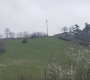 Terreno Agricolo/Coltura in vendita a Serramazzoni, Frazione Riccò
