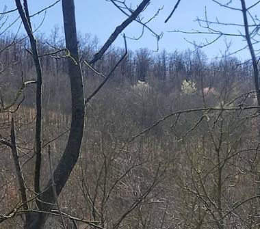 Terreno Agricolo/Coltura in vendita a Serramazzoni, Frazione Riccò