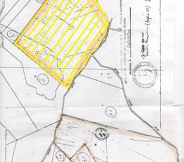 Terreno Agricolo/Coltura in vendita a Serramazzoni, Frazione Riccò