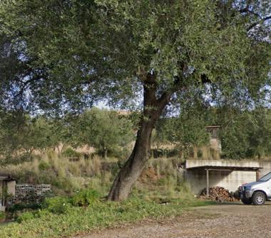 Affitto Appartamento Vacanze a Centola, Frazione Palinuro, Traversa del Fico 19