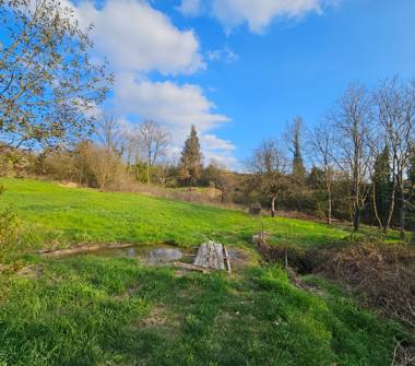 Terreno Agricolo/Coltura in vendita a Castelnuovo Don Bosco (Asti)