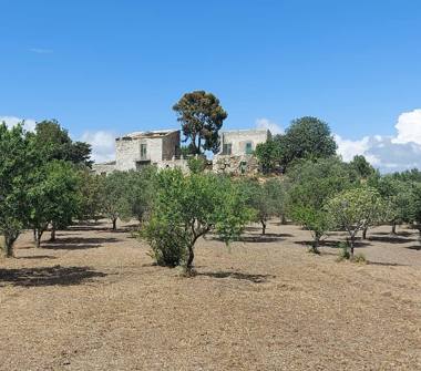 Terreno Edificabile Residenziale in vendita a Licata (Agrigento), Contrada Montesole