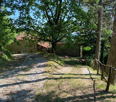 Rustico/Casale in vendita a San Marcello Piteglio (Pistoia), Via del Fosso 43