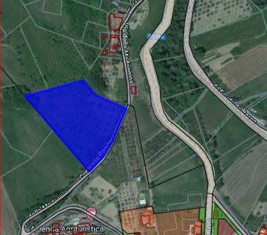 Terreno Agricolo/Coltura in vendita a Basciano (Teramo), Via della Madonnina 4