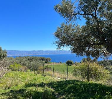 Terreno Agricolo/Coltura in affitto a Messina, Frazione Santa Margherita