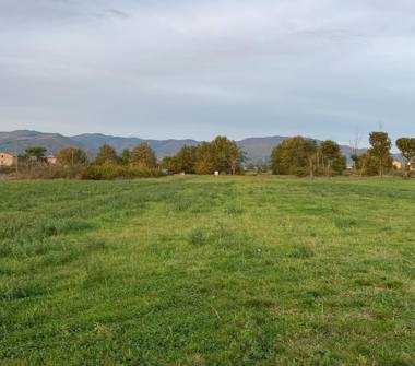 Terreno Agricolo/Coltura in vendita a Agliana (Pistoia), Via Berlicche 75