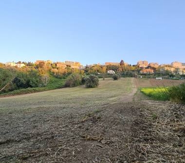 Terreno Agricolo/Coltura in vendita a Osimo (Ancona), Via del Tesoro fonti