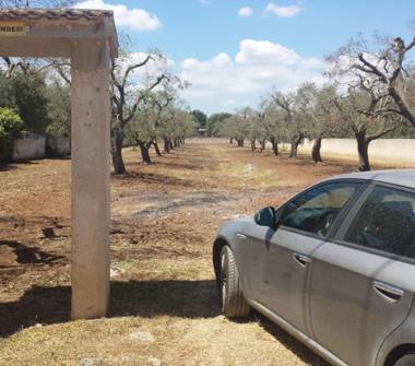 Terreno Edificabile Residenziale in vendita a Carovigno (Brindisi), Serranova, Contrada Colombo 1