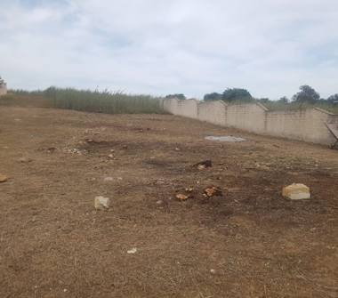 Terreno Agricolo/Coltura in vendita a Castelvetrano, Frazione Triscina, Via 128