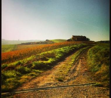 Terreno Edificabile Commerciale in vendita a Castrocaro Terme e Terra del Sole, Frazione Castrocaro Terme