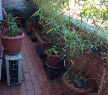 Palazzo/Stabile in vendita a Busto Arsizio (Varese), Viale delle Rimembranze 33