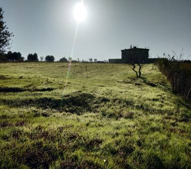 Terreno Agricolo/Coltura in vendita a Roccastrada, Frazione Ribolla