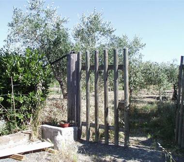 Terreno Agricolo/Coltura in affitto a Grosseto (Grosseto), str. del Querciolo, zona pianetto nessuno