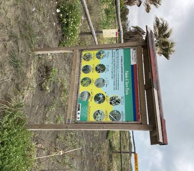 Affitto Appartamento Vacanze a Cerveteri (Roma), Via degli Oleandri 16