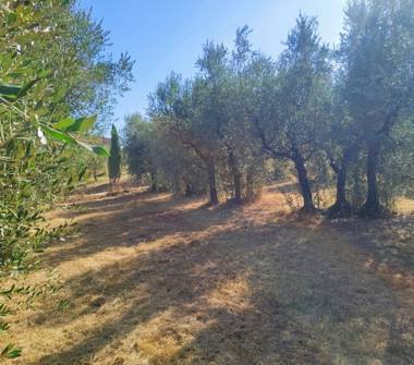 Casa indipendente in vendita a Vinci, Frazione Apparita