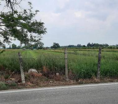 Terreno Agricolo/Coltura in vendita a Villafranca di Verona (Verona)