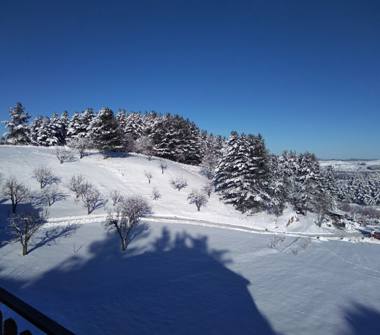 Trilocale in vendita a Spezzano della Sila, Frazione Camigliatello Silano, Via dei Bucaneve 27