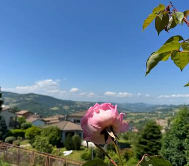 Affitto Appartamento Vacanze a Castiglione dei Pepoli (Bologna), Via L. Luccarini 6