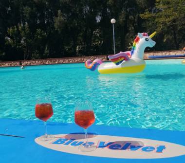 Affitto Villa Vacanze a Pulsano, Frazione Bosco Caggione, Viale delle Gardenie sn