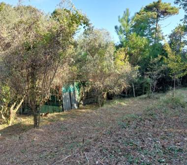 Terreno Agricolo/Coltura in vendita a Ameglia, Frazione Montemarcello, Via della Marana s.n.