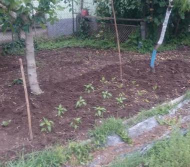 Rustico/Casale in vendita a Giussago, Frazione Turago Bordone, Via del Sole 21