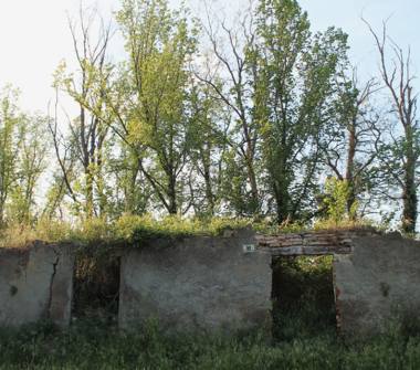 Terreno Edificabile Residenziale in vendita a Sogliano al Rubicone, Frazione Santa Maria Riopetra, Via Ca' Marchese 99