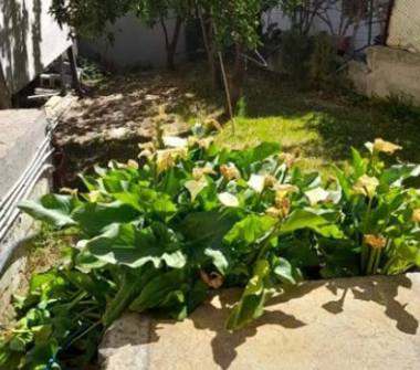 Appartamento in vendita a Guardavalle, Frazione Guardaville Marina, Via Provinciale 207