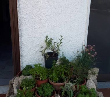 Affitto Casa Vacanze a Casalbuono (Salerno), Via Carvallena 7