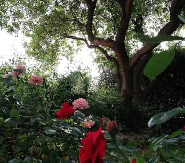 Appartamento in vendita a Ischia di Castro (Viterbo)