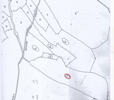 Terreno Agricolo/Coltura in vendita a Pellezzano (Salerno), Via Acqua del Corvo