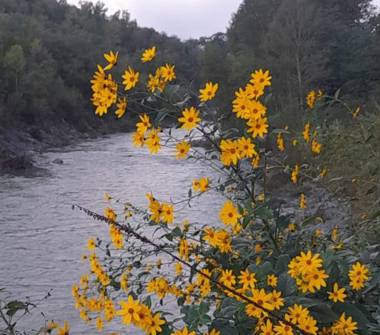 Rustico/Casale in vendita a Marzabotto (Bologna)