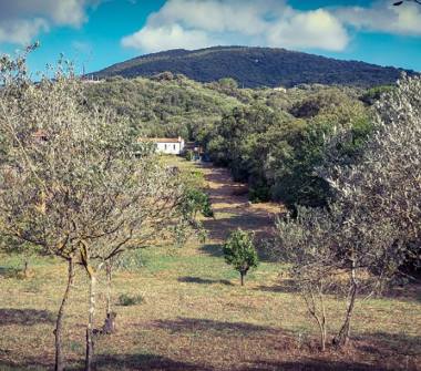 Casa indipendente in vendita a Olbia (Sassari), Via Sole Ruju 37