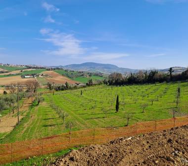 Villa in vendita a Castelfidardo (Ancona)