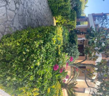 Villa in affitto a Terracina (Latina)