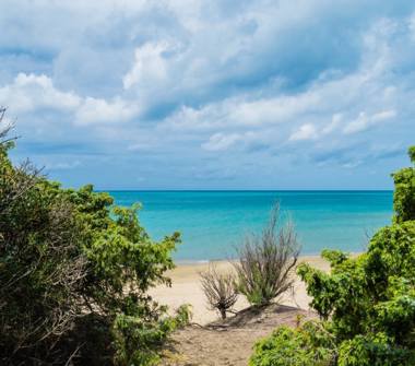 Affitto Rustico/Casale Vacanze a Campiglia Marittima (Livorno), Via dei Granai 20