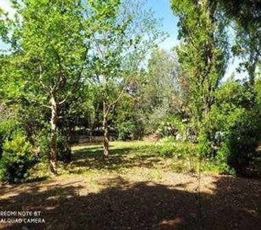 Bilocale in affitto a Vitorchiano (Viterbo), Strada Bandita 5