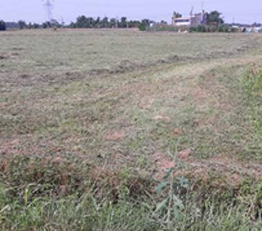 Terreno Agricolo/Coltura in vendita a Arcene (Bergamo)