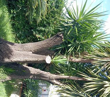 Casa indipendente in vendita a Pontecagnano Faiano, Frazione Pontecagnano, Via Mar Tirreno 75