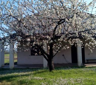 Villa in vendita a Roccasecca (Frosinone), Via Pescopane 11