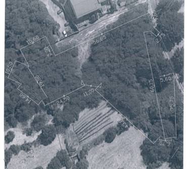 Terreno Edificabile Residenziale in vendita a Marano Principato (Cosenza), Via Molinari