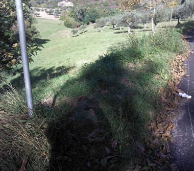Terreno Agricolo/Coltura in vendita a Torricella Sicura, Frazione Villa Tofo