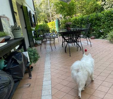 Casa indipendente in vendita a Cessalto (Treviso), Via Rive 15