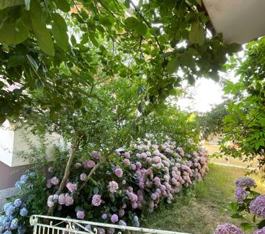 Villa in vendita a Austis (Nuoro)