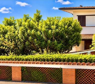 Villa in vendita a Pietrasanta, Frazione Marina Di Pietrasanta