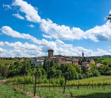 Rustico/Casale in vendita a Castelvetro di Modena, Frazione Levizzano Rangone, Via Carentano 6