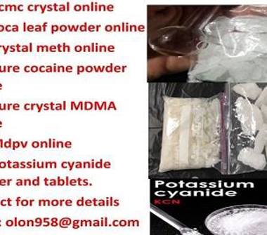  Attività commerciale in vendita a Miagliano (Biella), Miagliano 212 14100