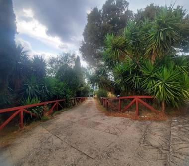 Terreno Agricolo/Coltura in vendita a Tivoli, Frazione Bagni Di Tivoli, Strada di Pomata 19