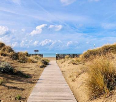 Affitto Appartamento Vacanze a Castagneto Carducci, Frazione Donoratico, Via della Libertà 50