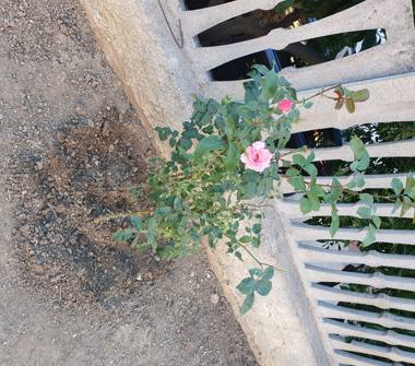 Casa indipendente in vendita a Partanna (Trapani), Via Luigi Sturzo 148